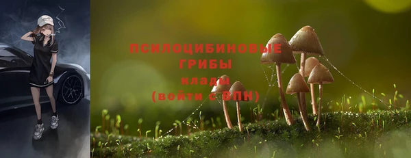 стафф Балабаново