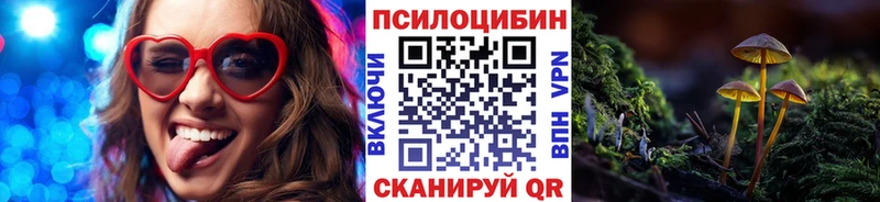 Галлюциногенные грибы мицелий  закладка  Никольское 