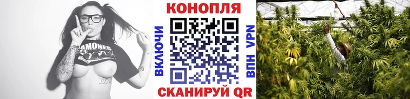 KRAKEN как зайти  Никольское  Каннабис конопля 